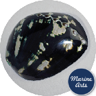 8407 - Polished Black Abalone  10cm